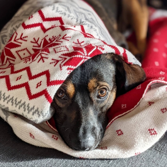 Meet your Posher, Emily - Picture 1 of 2